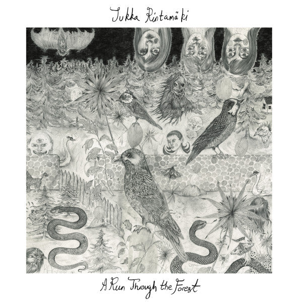 Jukka Rintamäki ~ A Run Through The Forest (Vinyl) - Djungel & Jazz