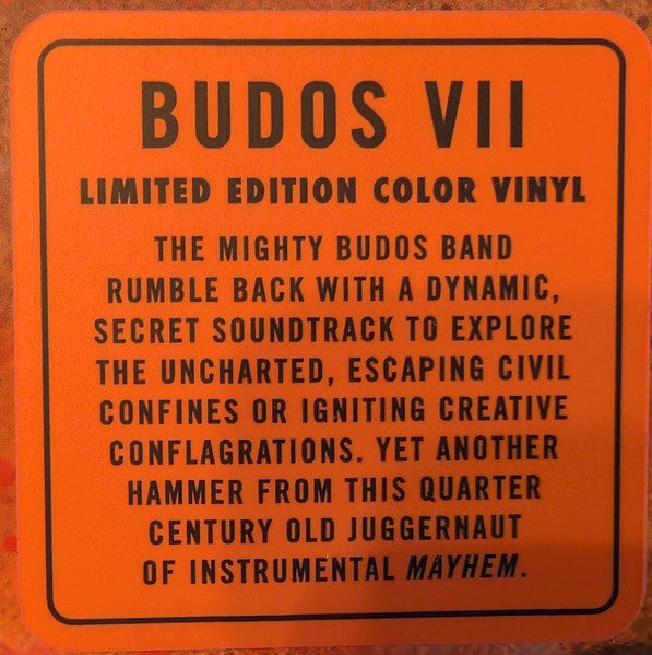 The Budos Band ~ VII (Vinyl) - Djungel & Jazz