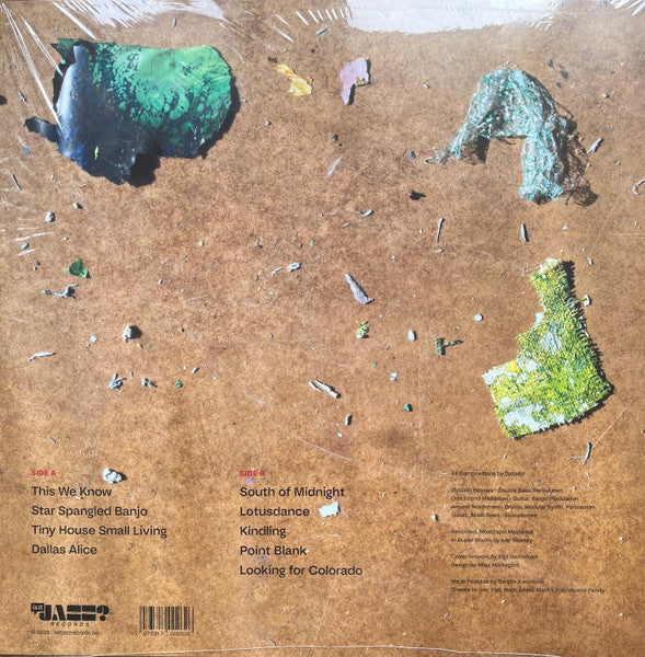 Datadyr ~ This We Know (Vinyl) - Djungel & Jazz