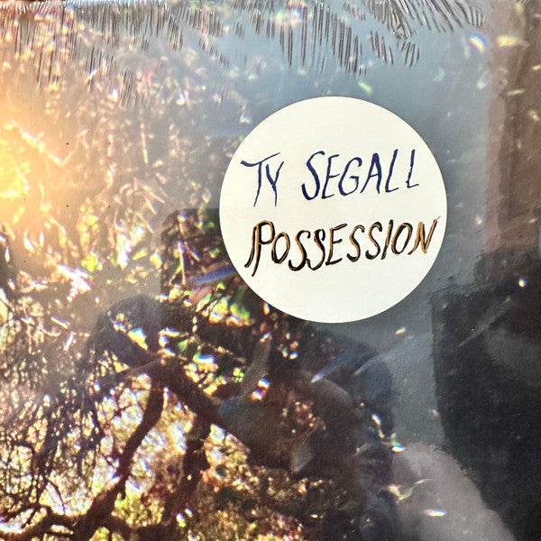 Ty Segall ~ Possession (Vinyl) - Djungel & Jazz