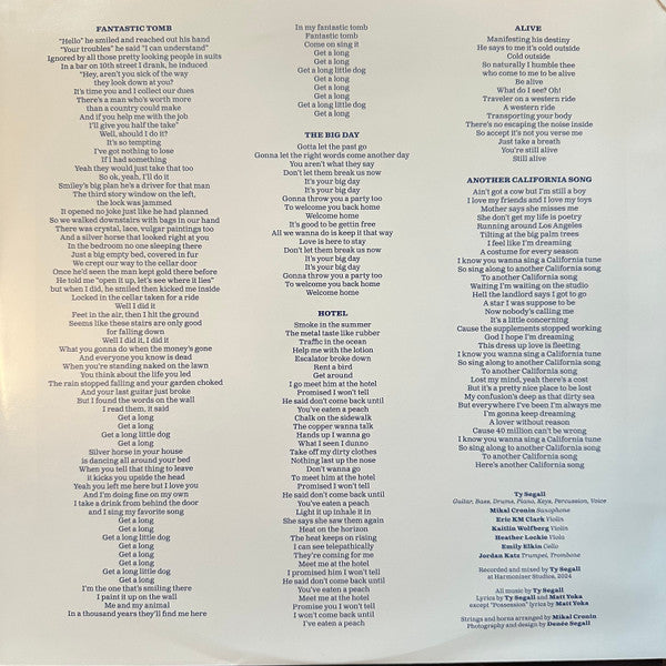 Ty Segall ~ Possession (Vinyl) - Djungel & Jazz