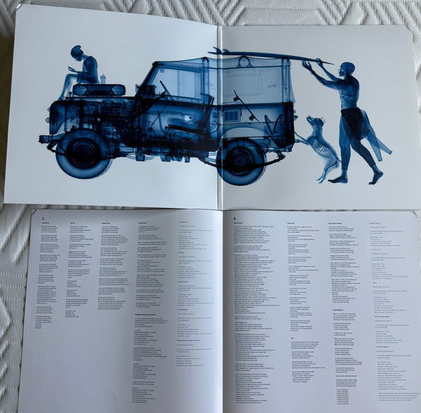 Matt Berninger ~ Get Sunk (Vinyl) - Djungel & Jazz