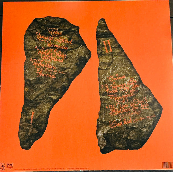 Shura ~ I Got Too Sad For My Friends (Vinyl) - Djungel & Jazz