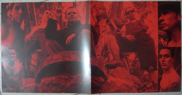 Red Hot Chili Peppers ~ Blood Sugar Sex Magik (Vinyl) - Djungel & Jazz
