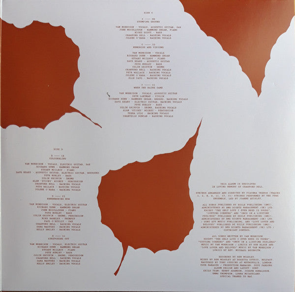 Van Morrison ~ Remembering Now (Vinyl) - Djungel & Jazz