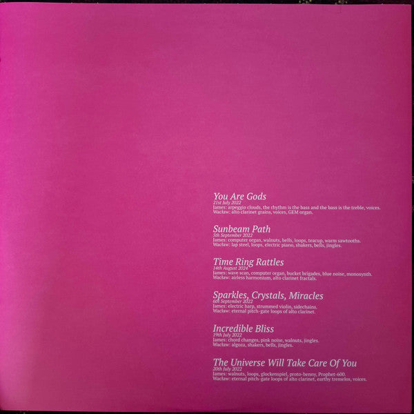 Holden & Zimpel ~ The Universe Will Take Care Of You (Vinyl) - Djungel & Jazz