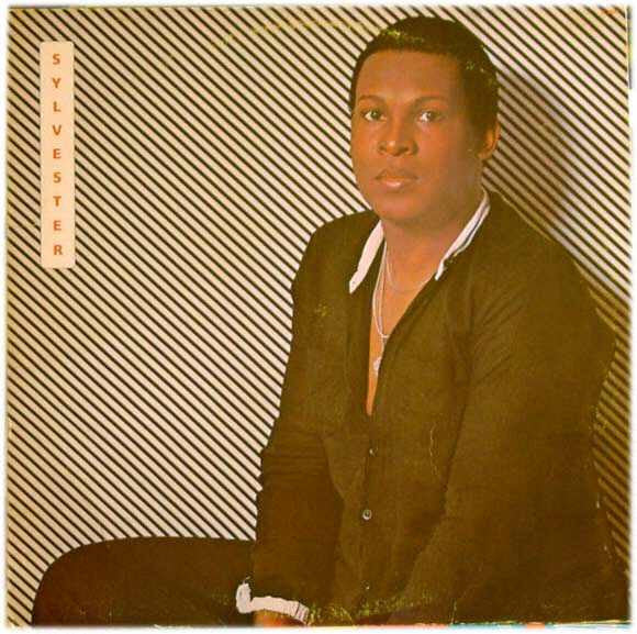 Sylvester : Sylvester (LP, Album, Pit)