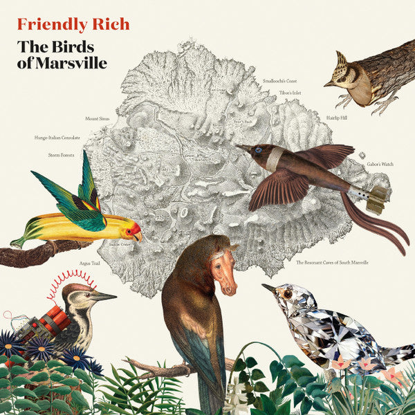 Friendly Rich ~ The Birds of Marsville (Vinyl) - Djungel & Jazz