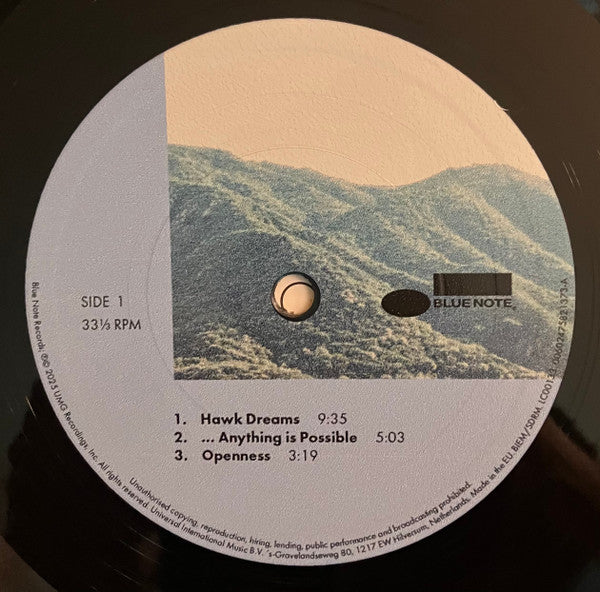 Nate Mercereau, Josh Johnson , Carlos Niño ~ Openness Trio (Vinyl) - Djungel & Jazz