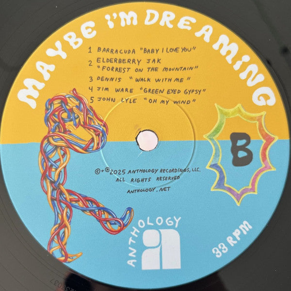 Various ~ Maybe I'm Dreaming (Vinyl) - Djungel & Jazz