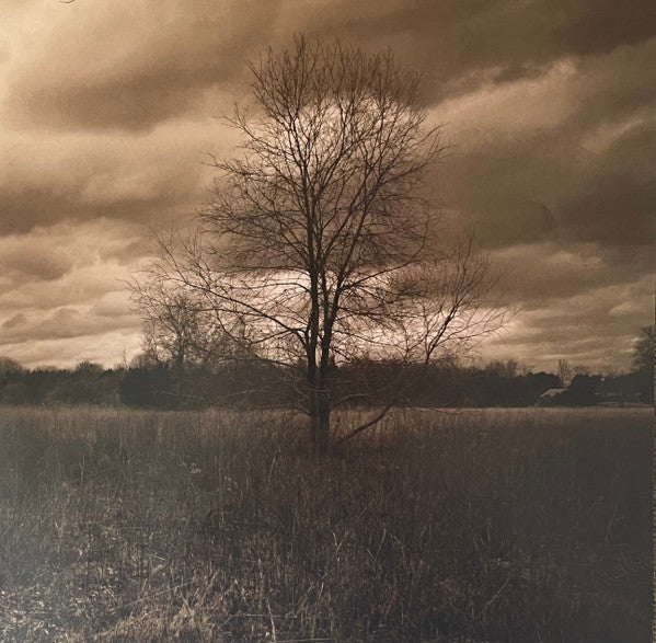 Grant Lee Phillips ~ In The Hour Of Dust (Vinyl) - Djungel & Jazz