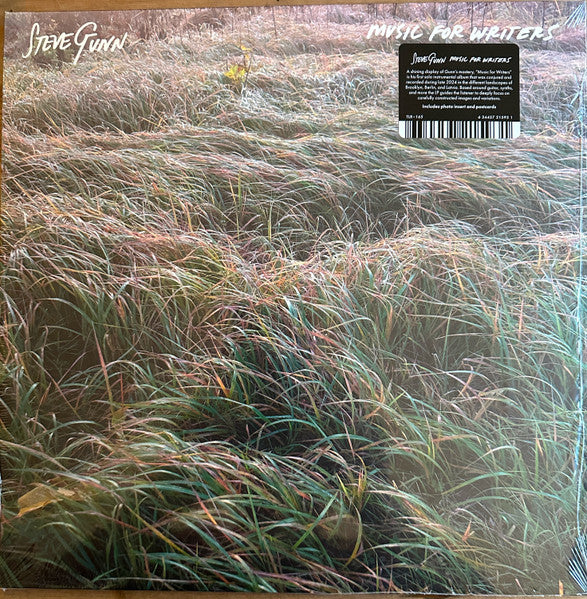 Steve Gunn ~ Music For Writers (Vinyl) - Djungel & Jazz