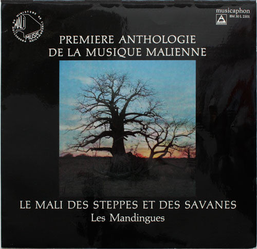 Mandinka ~ Le Mali Des Steppes Et Des Savanes (Vinyl) - Djungel & Jazz