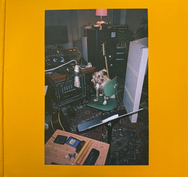 Mac Demarco ~ Guitar (Vinyl) - Djungel & Jazz