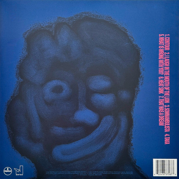 Pino Palladino & Blake Mills ~ That Wasn't A Dream (Vinyl) - Djungel & Jazz