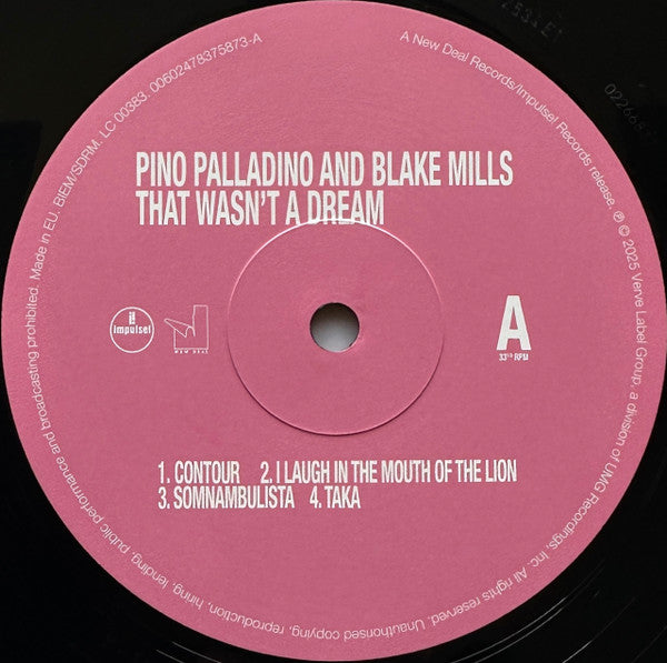 Pino Palladino & Blake Mills ~ That Wasn't A Dream (Vinyl) - Djungel & Jazz