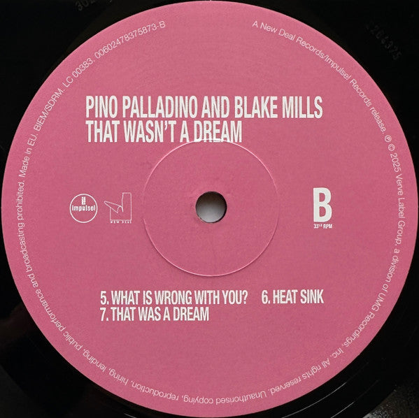 Pino Palladino & Blake Mills ~ That Wasn't A Dream (Vinyl) - Djungel & Jazz