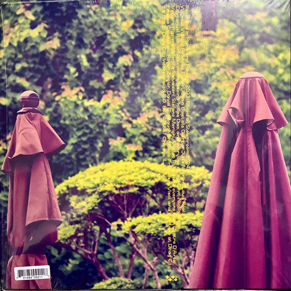 Eiko Ishibashi & Jim O'Rourke ~ Pareidolia (Vinyl) - Djungel & Jazz