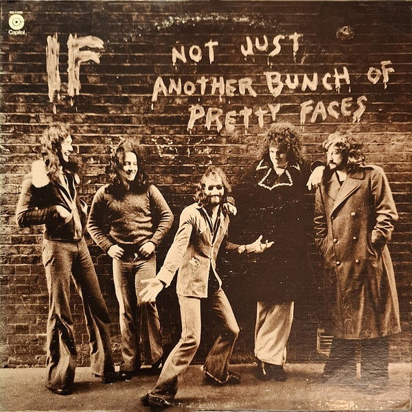 IF ~ Not Just Another Bunch Of Pretty Faces (Vinyl) - Djungel & Jazz