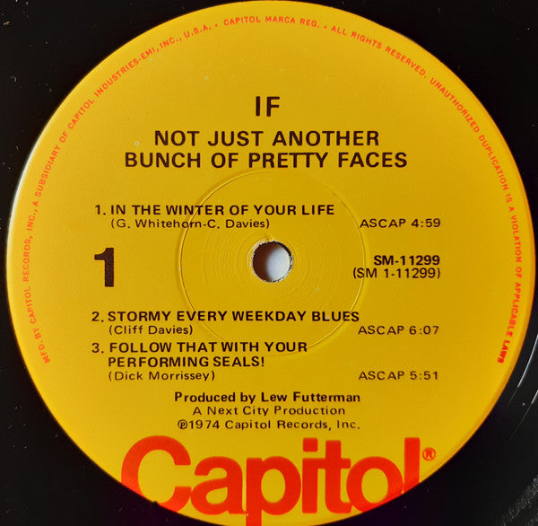 IF ~ Not Just Another Bunch Of Pretty Faces (Vinyl) - Djungel & Jazz