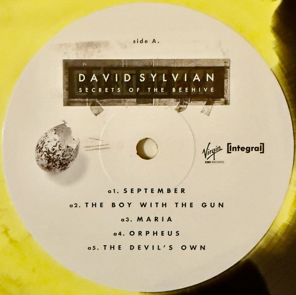 David Sylvian ~ Secrets Of The Beehive (Vinyl) - Djungel & Jazz