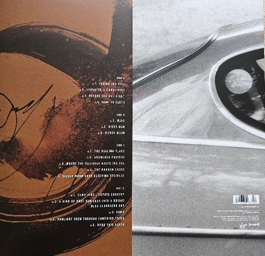 David Sylvian ~ Gone To Earth (Vinyl) - Djungel & Jazz