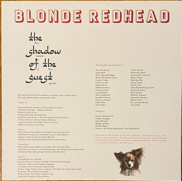 Blonde Redhead ~ The Shadow Of The Guest (Vinyl) - Djungel & Jazz