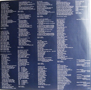 Skids ~ Scared To Dance (Vinyl) - Djungel & Jazz