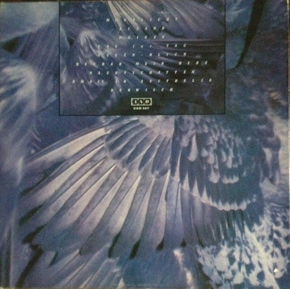 X Mal Deutschland ~ Tocsin (Vinyl) - Djungel & Jazz