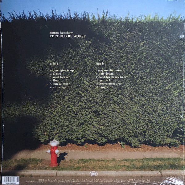 Samm Henshaw ~ It Could Be Worse (Vinyl) - Djungel & Jazz