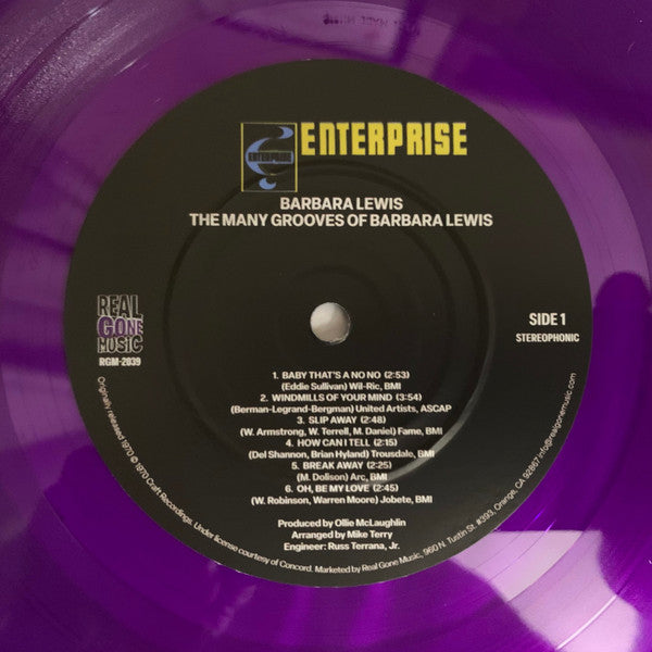 Barbara Lewis ~ The Many Grooves Of Barbara Lewis (Vinyl) - Djungel & Jazz