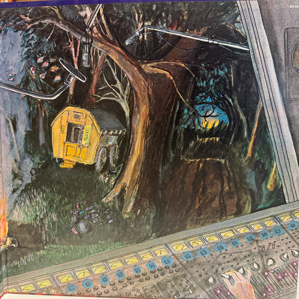 Frank Zappa ~ Chunga's Revenge (Vinyl) - Djungel & Jazz