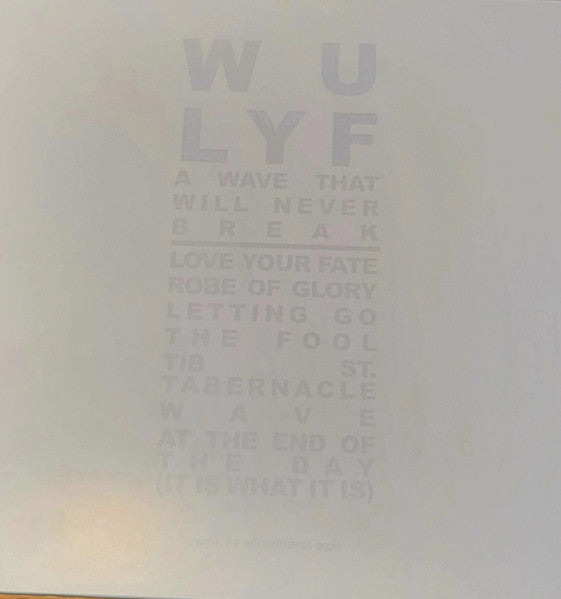 Wu Lyf : A Wave That Will Never Break (LP, Album, Ltd)