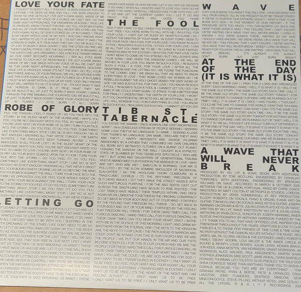 Wu Lyf : A Wave That Will Never Break (LP, Album, Ltd)
