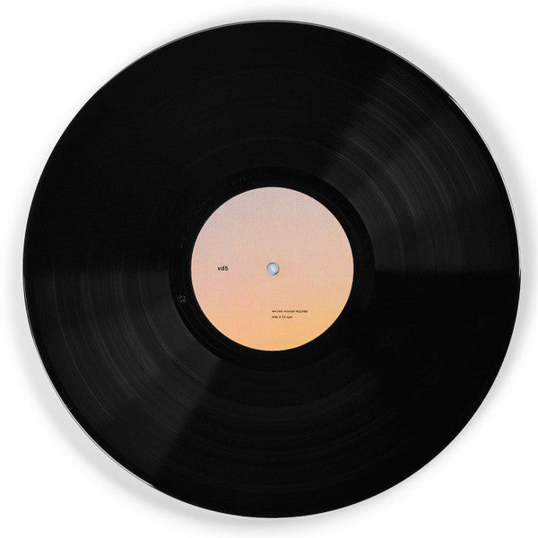 Vladislav Delay Quintet : vd5 (LP, Album)