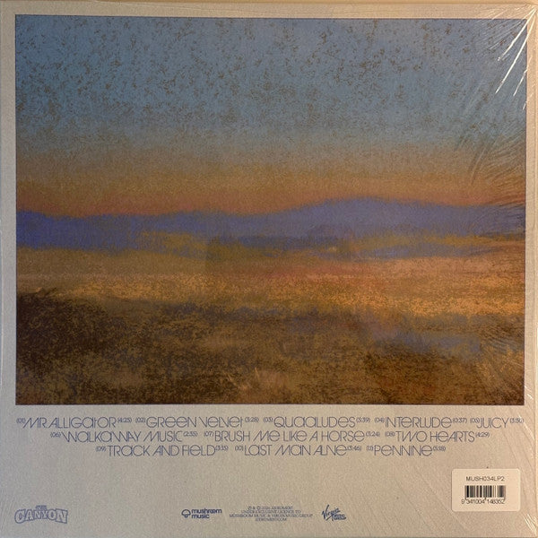 JJerome87 : The Canyon (LP, Album)