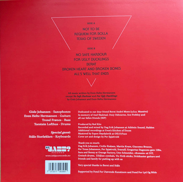 Red Kite ~ This Too Shall Pass (Vinyl) - Djungel & Jazz