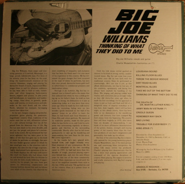 Big Joe Williams ~ Thinking Of What They Did To Me (Vinyl) - Djungel & Jazz