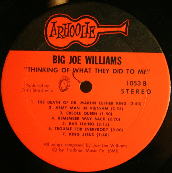 Big Joe Williams ~ Thinking Of What They Did To Me (Vinyl) - Djungel & Jazz
