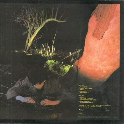 Echo And The Bunnymen ~ Crocodiles (Vinyl) - Djungel & Jazz