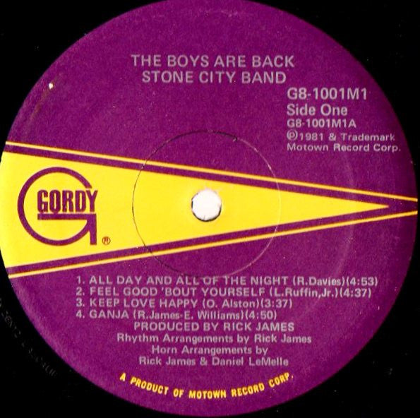 Stone City Band ~ The Boys Are Back (Vinyl) - Djungel & Jazz