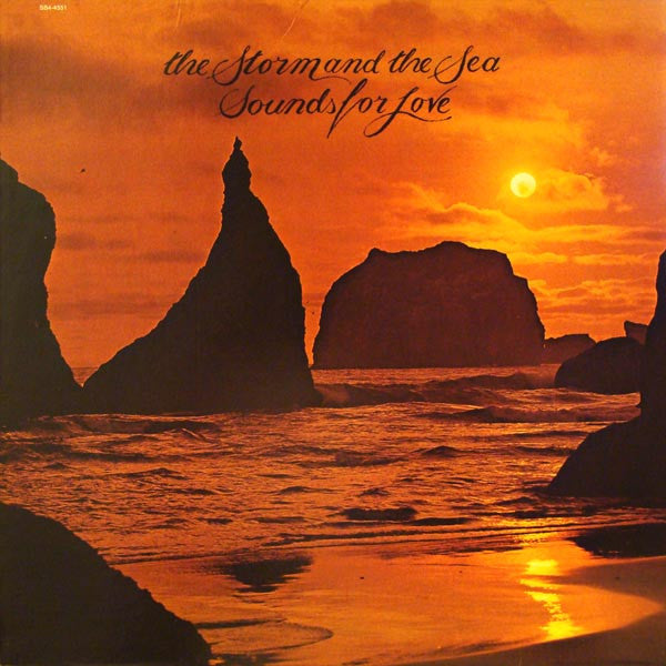 No Artist ~ The Storm And The Sea (Vinyl) - Djungel & Jazz