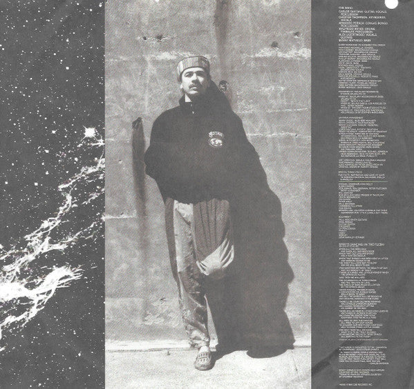 Santana ~ Spirits Dancing In The Flesh (Vinyl) - Djungel & Jazz