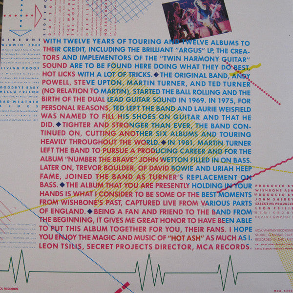 Wishbone Ash ~ Hot Ash Live (Vinyl) - Djungel & Jazz
