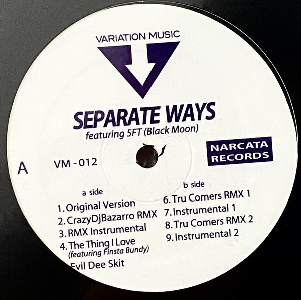 Dysfunkshunal Familee ~ Separate Ways (Vinyl) - Djungel & Jazz