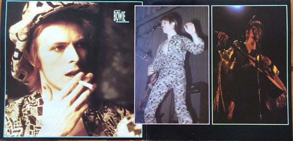 David Bowie ~ The Collection (Vinyl) - Djungel & Jazz