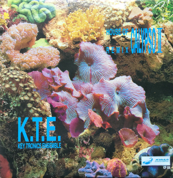 Key Tronics Ensemble : House Of Calypso II Remix (12", Pic)