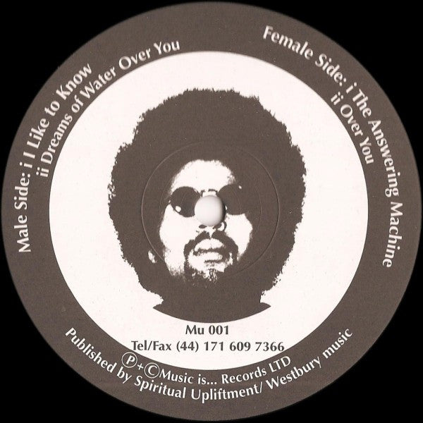 Moodymann : Music Is ... Moodymann (12")