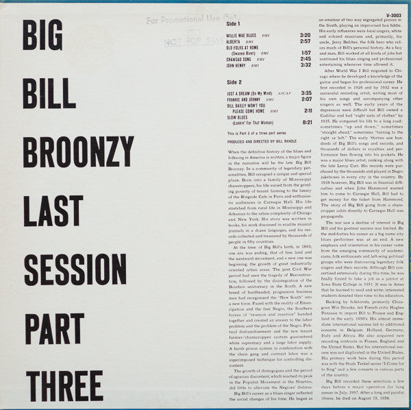Big Bill Broonzy ~ Last Session Part 3 (Vinyl) - Djungel & Jazz