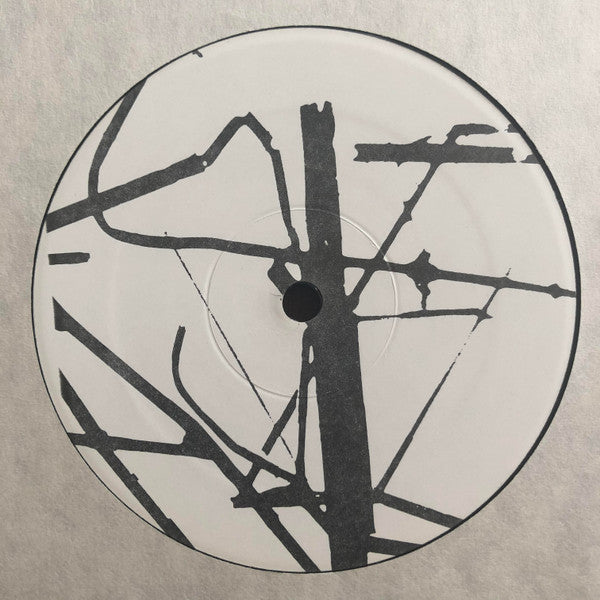 The Velvet Monkeys ~ Future (Vinyl) - Djungel & Jazz